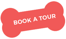 http://www.hesbyvet.be/wp-content/uploads/2019/08/book_a_tour.png